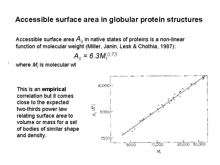 Accessible surface area in globular protein structures Accessible surface area As in native states