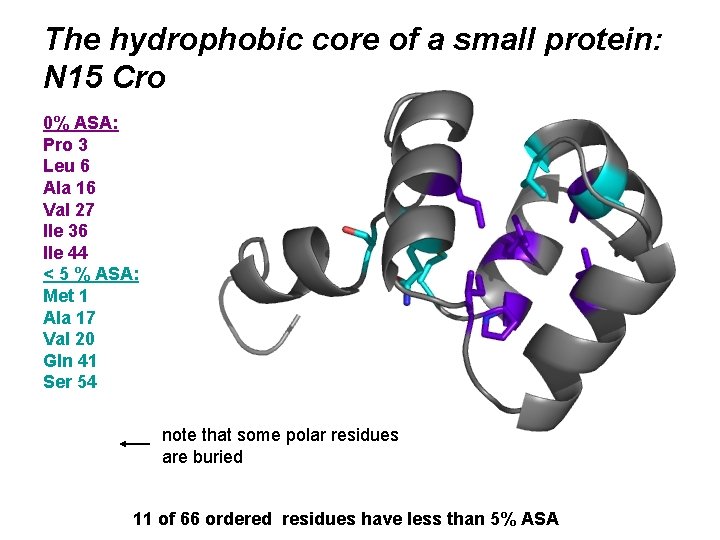The hydrophobic core of a small protein: N 15 Cro 0% ASA: Pro 3