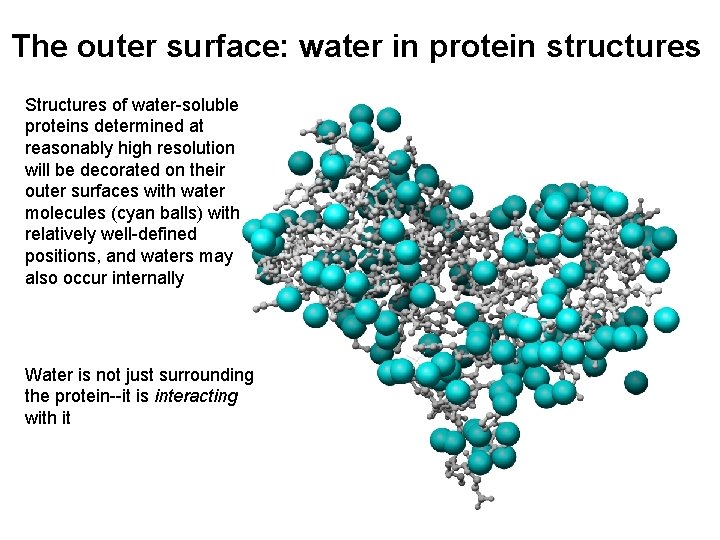 The outer surface: water in protein structures Structures of water-soluble proteins determined at reasonably