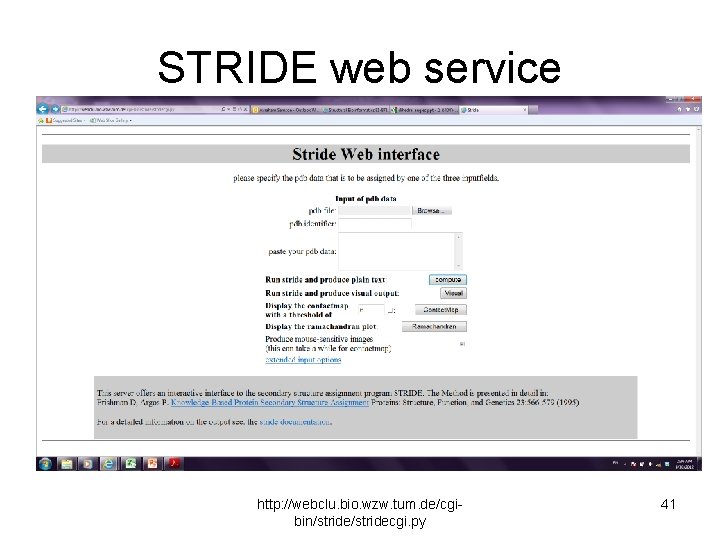 STRIDE web service http: //webclu. bio. wzw. tum. de/cgibin/stridecgi. py 41 
