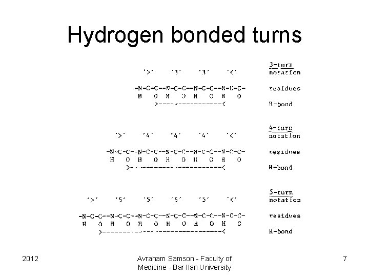 Hydrogen bonded turns 2012 Avraham Samson - Faculty of Medicine - Bar Ilan University