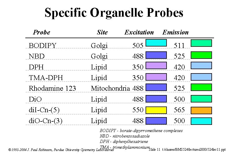 Specific Organelle Probes Probe BODIPY NBD DPH TMA-DPH Rhodamine 123 Di. O di. I-Cn-(5)