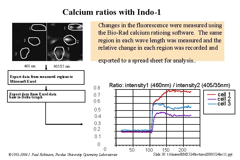 Calcium ratios with Indo-1 1 1 2 2 3 Changes in the fluorescence were