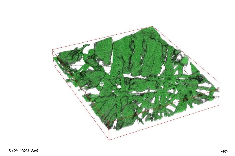 © 1993 -2004 J. Paul Robinson, Purdue University Cytometry Laboratories Slide 35 t: /classes/BMS