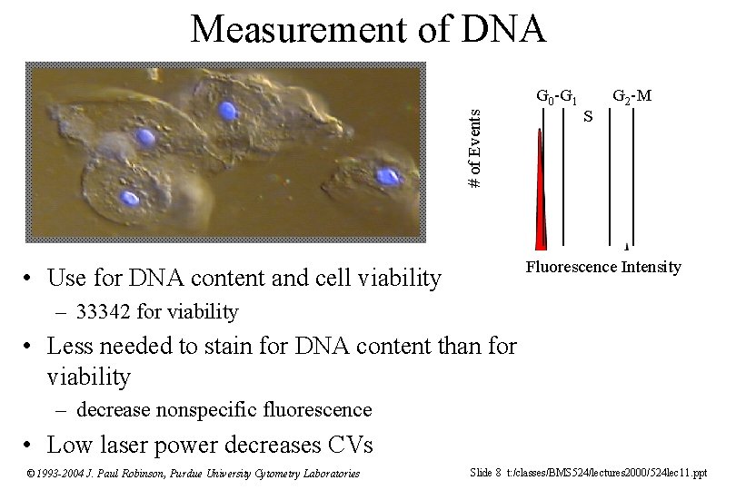 Measurement of DNA # of Events G 0 -G 1 S G 2 -M