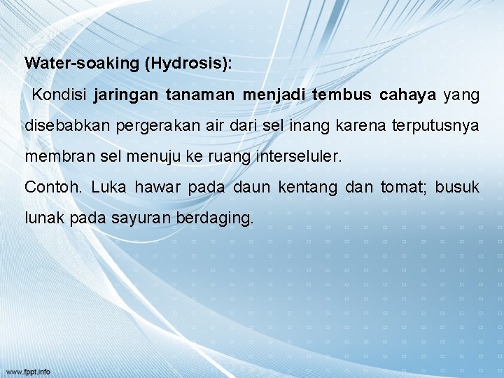Water-soaking (Hydrosis): Kondisi jaringan tanaman menjadi tembus cahaya yang disebabkan pergerakan air dari sel