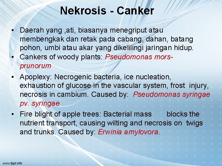 Nekrosis - Canker • Daerah yang , ati, biasanya menegriput atau membengkak dan retak