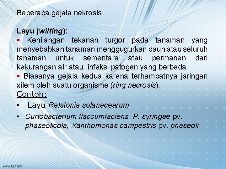 Beberapa gejala nekrosis Layu (wilting): § Kehilangan tekanan turgor pada tanaman yang menyebabkan tanaman