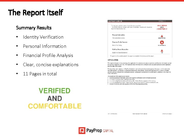 The Report Itself Summary Results • Identity Verification • Personal Information • Financial Profile