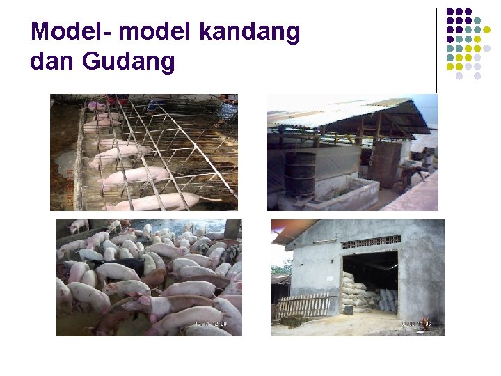 Model- model kandang dan Gudang 