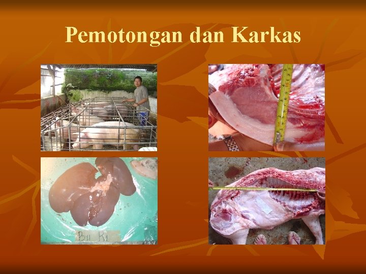 Pemotongan dan Karkas 