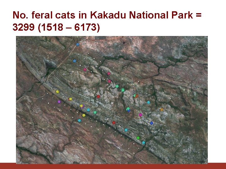No. feral cats in Kakadu National Park = 3299 (1518 – 6173) 