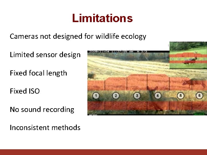 Limitations Cameras not designed for wildlife ecology Limited sensor design Fixed focal length Fixed