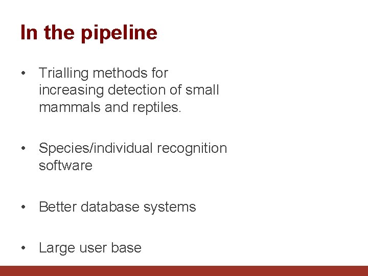 In the pipeline • Trialling methods for increasing detection of small mammals and reptiles.