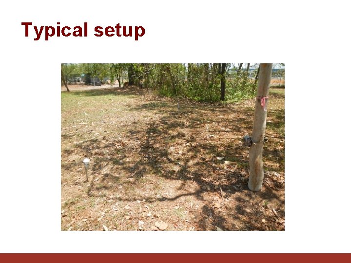 Typical setup 