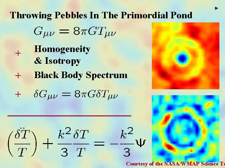 Throwing Pebbles In The Primordial Pond + + Homogeneity & Isotropy Black Body Spectrum