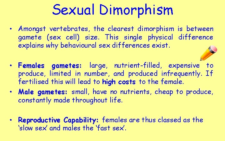 Sexual Dimorphism • Amongst vertebrates, the clearest dimorphism is between gamete (sex cell) size.