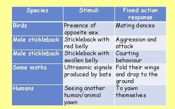 Species Stimuli Birds Presence of opposite sex Male stickleback Stickleback with red belly Male