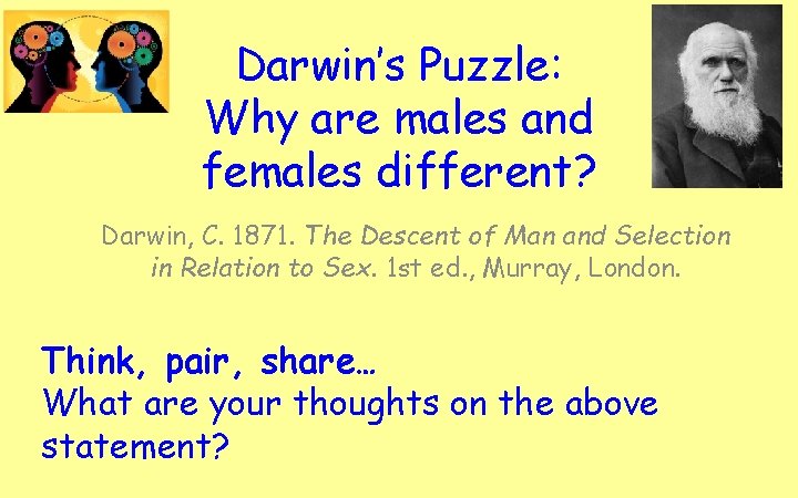 Darwin’s Puzzle: Why are males and females different? Darwin, C. 1871. The Descent of
