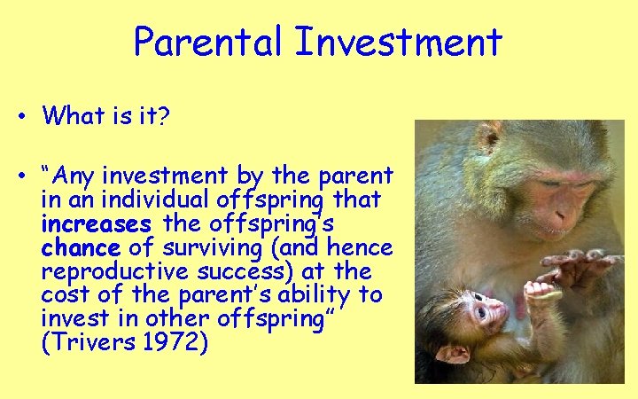 Parental Investment • What is it? • “Any investment by the parent in an