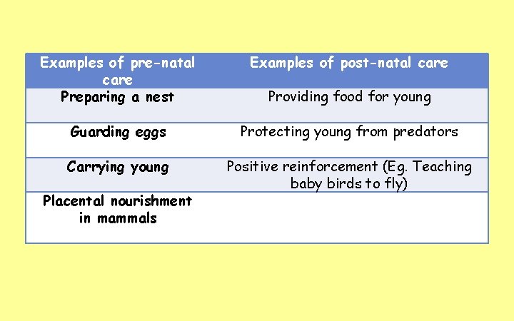 Examples of pre-natal care Preparing a nest Examples of post-natal care Guarding eggs Protecting