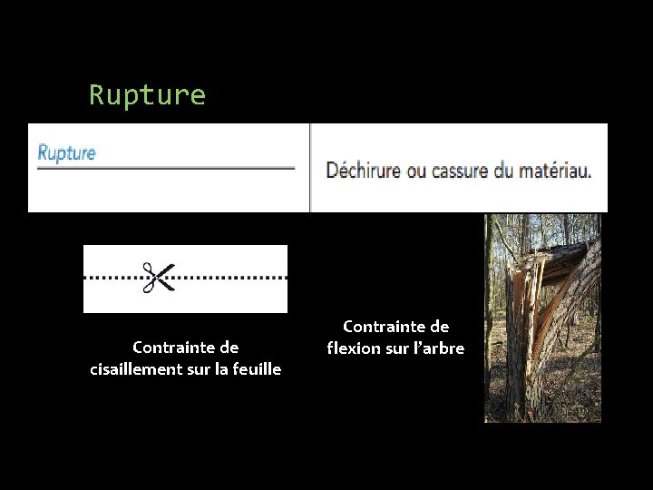 Rupture Contrainte de cisaillement sur la feuille Contrainte de flexion sur l’arbre 