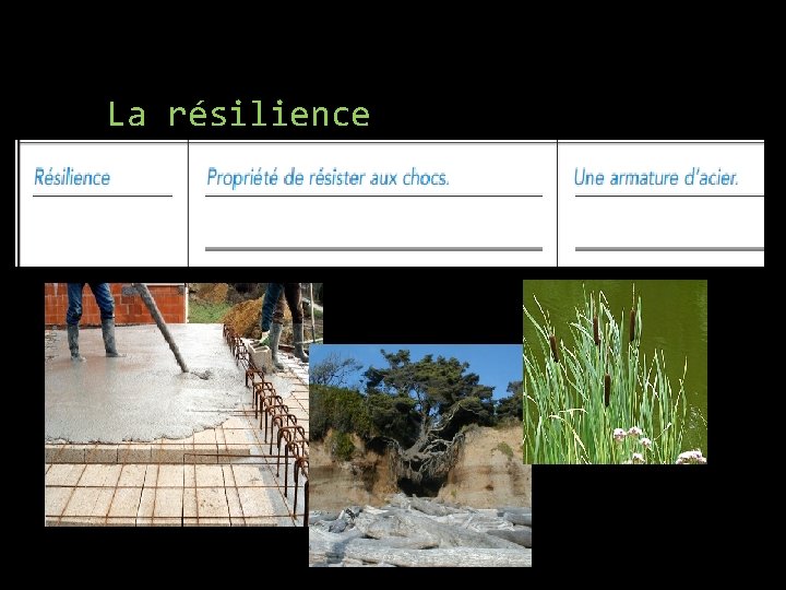 La résilience 