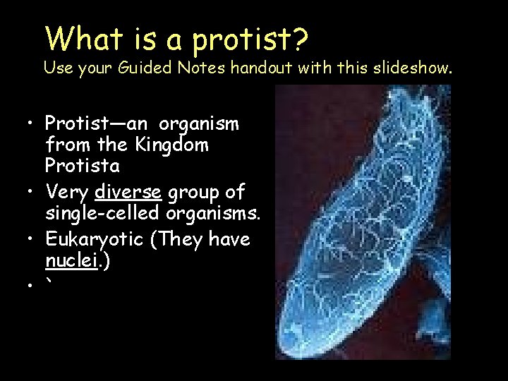 What is a protist? Use your Guided Notes handout with this slideshow. • Protist—an What is a protist? Use your Guided Notes handout with this slideshow. • Protist—an