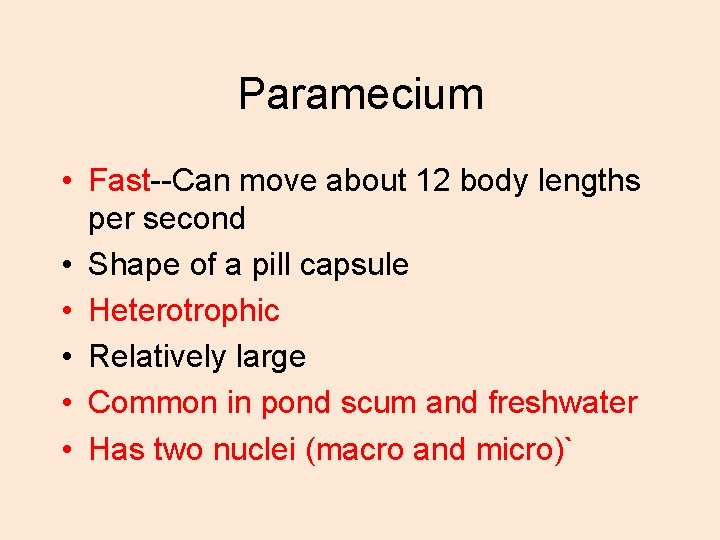 Paramecium • Fast--Can move about 12 body lengths per second • Shape of a Paramecium • Fast--Can move about 12 body lengths per second • Shape of a