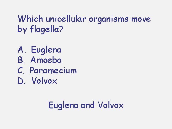 Which unicellular organisms move by flagella? A. B. C. D. Euglena Amoeba Paramecium Volvox Which unicellular organisms move by flagella? A. B. C. D. Euglena Amoeba Paramecium Volvox