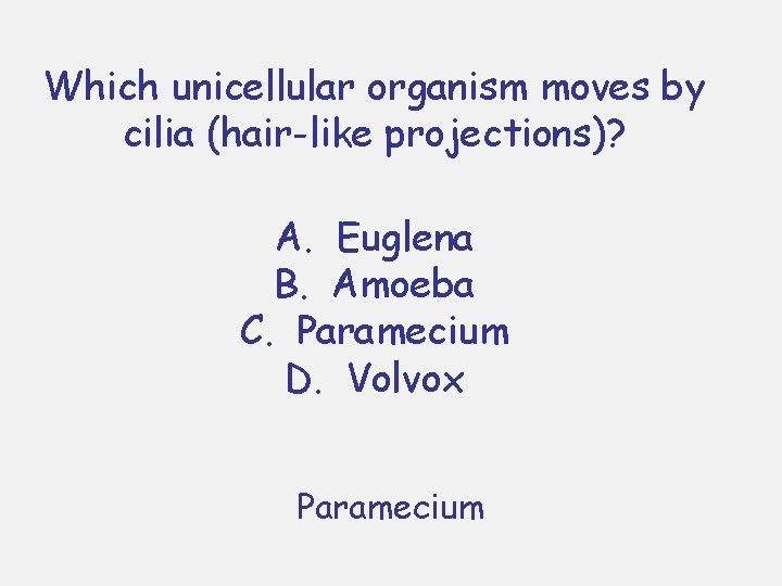 Which unicellular organism moves by cilia (hair-like projections)? A. Euglena B. Amoeba C. Paramecium Which unicellular organism moves by cilia (hair-like projections)? A. Euglena B. Amoeba C. Paramecium
