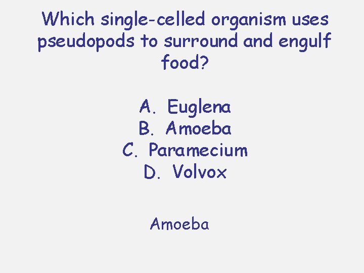 Which single-celled organism uses pseudopods to surround and engulf food? A. Euglena B. Amoeba Which single-celled organism uses pseudopods to surround and engulf food? A. Euglena B. Amoeba
