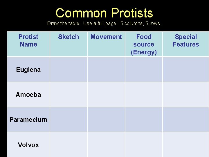 Common Protists Draw the table. Use a full page. 5 columns, 5 rows. Protist Common Protists Draw the table. Use a full page. 5 columns, 5 rows. Protist