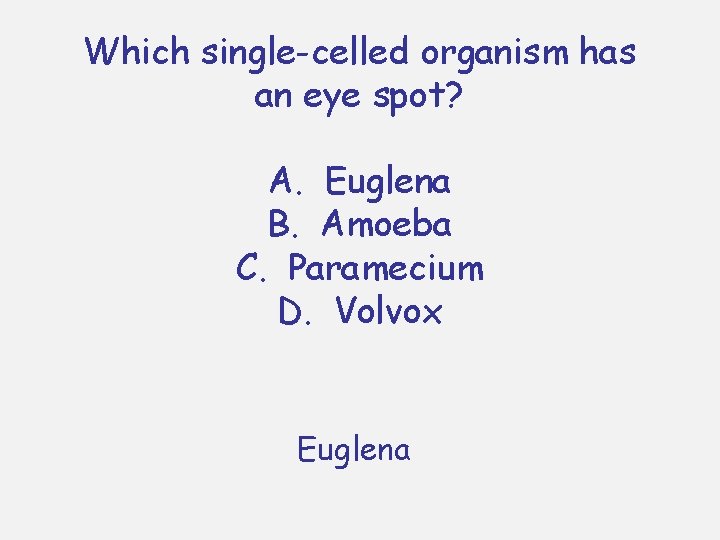 Which single-celled organism has an eye spot? A. Euglena B. Amoeba C. Paramecium D. Which single-celled organism has an eye spot? A. Euglena B. Amoeba C. Paramecium D.