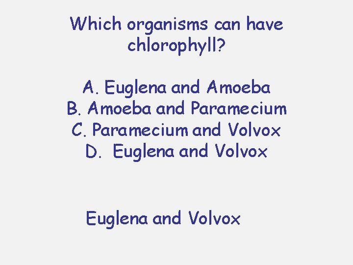 Which organisms can have chlorophyll? A. Euglena and Amoeba B. Amoeba and Paramecium C. Which organisms can have chlorophyll? A. Euglena and Amoeba B. Amoeba and Paramecium C.