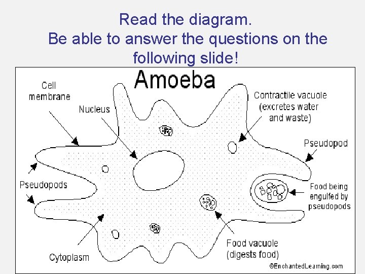 Read the diagram. Be able to answer the questions on the following slide! Read the diagram. Be able to answer the questions on the following slide!