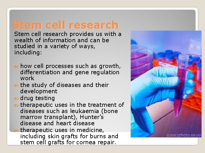 Stem cell research provides us with a wealth of information and can be studied