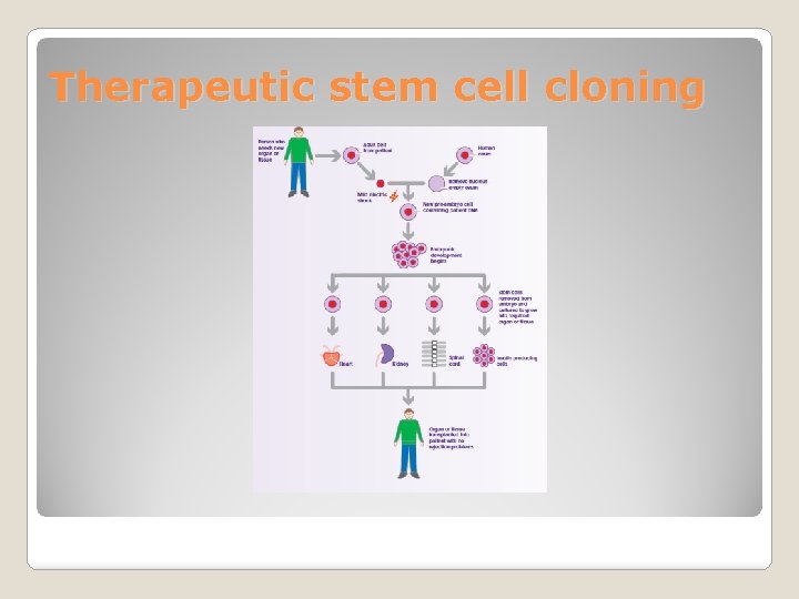 Therapeutic stem cell cloning 