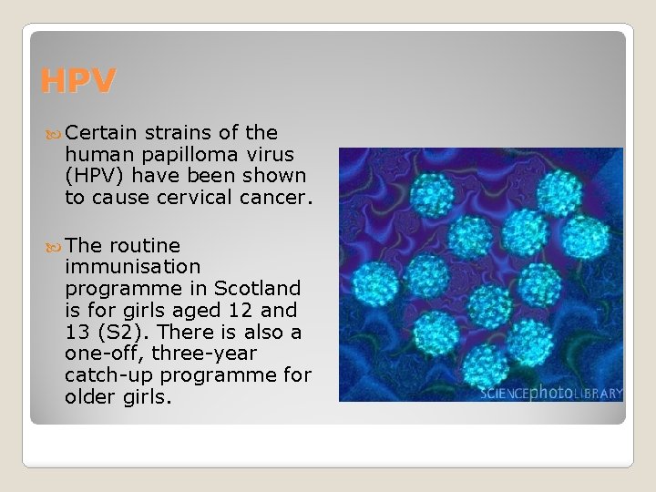 HPV Certain strains of the human papilloma virus (HPV) have been shown to cause