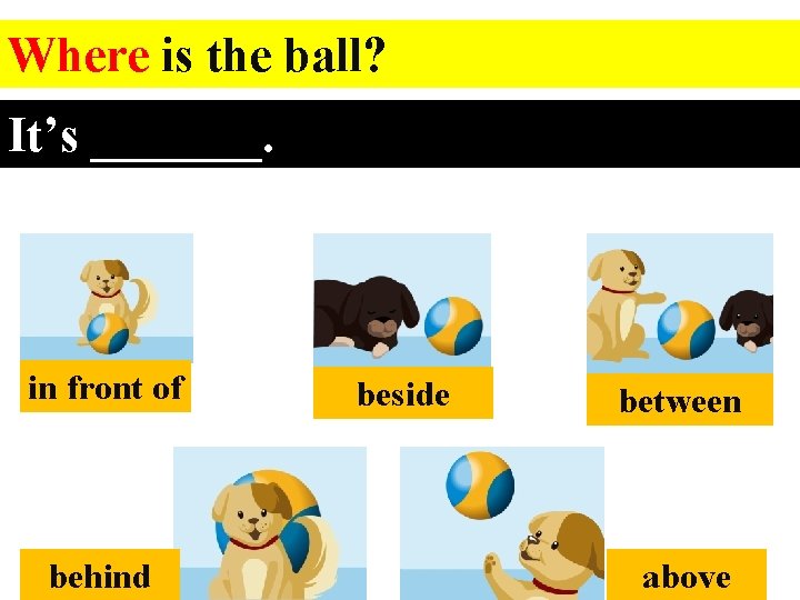 Where is the ball? It’s _______. in front of behind beside between above 
