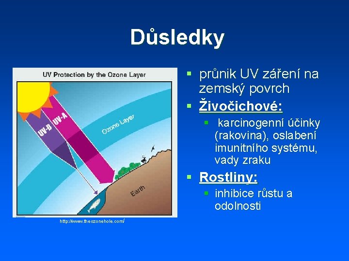 Důsledky § průnik UV záření na zemský povrch § Živočichové: § karcinogenní účinky (rakovina),