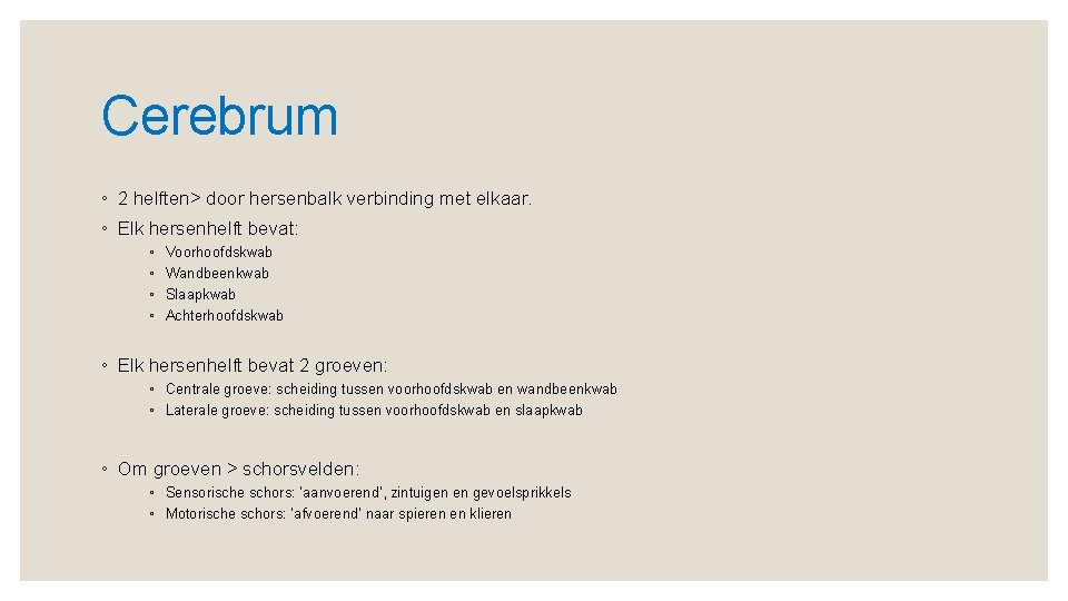 Cerebrum ◦ 2 helften> door hersenbalk verbinding met elkaar. ◦ Elk hersenhelft bevat: ◦