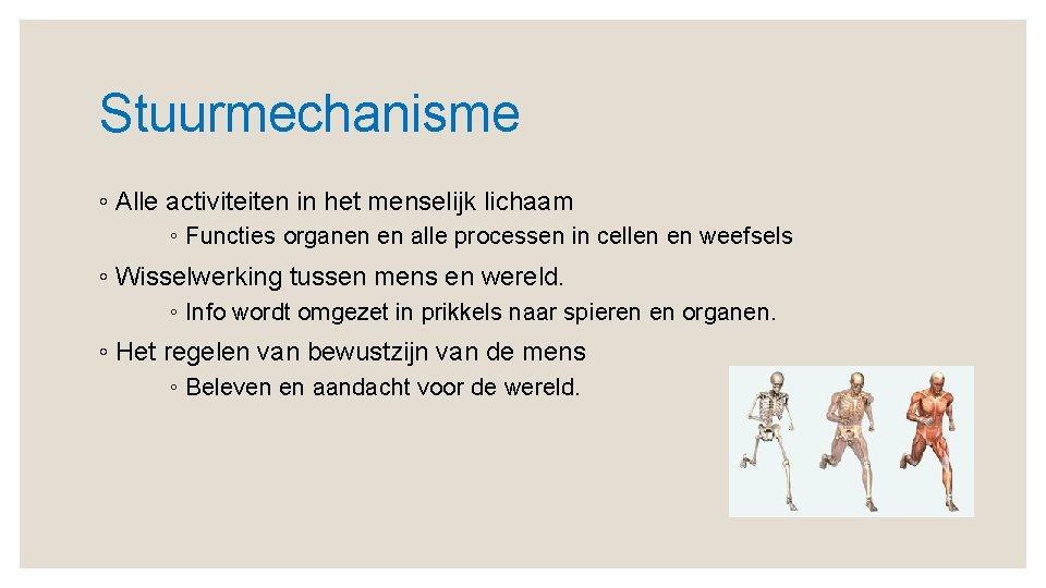 Stuurmechanisme ◦ Alle activiteiten in het menselijk lichaam ◦ Functies organen en alle processen