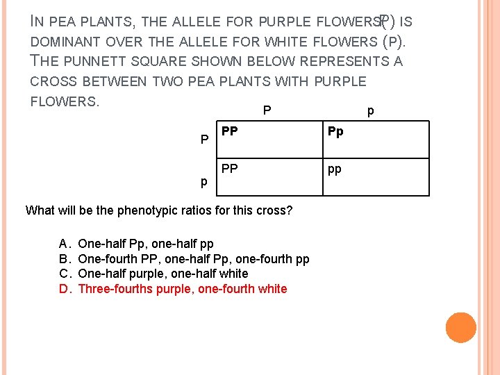 IN PEA PLANTS, THE ALLELE FOR PURPLE FLOWERSP) ( IS DOMINANT OVER THE ALLELE