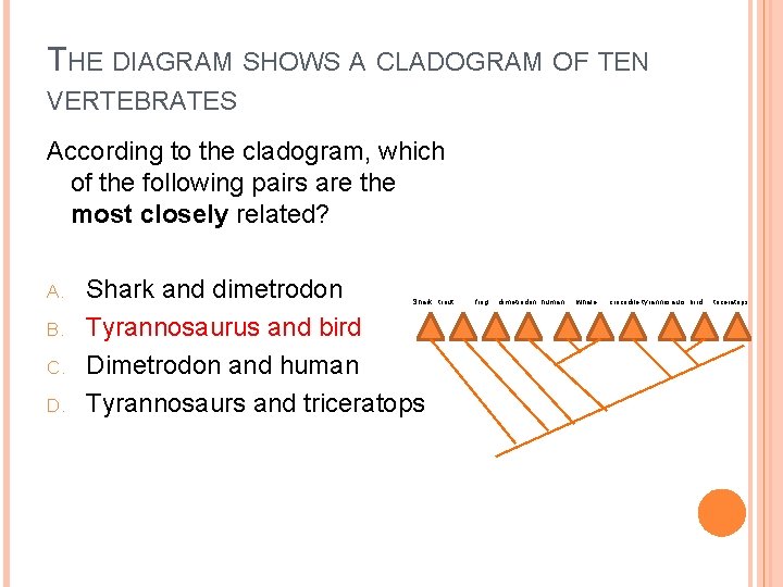 THE DIAGRAM SHOWS A CLADOGRAM OF TEN VERTEBRATES According to the cladogram, which of