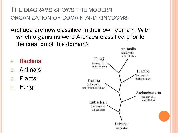 THE DIAGRAMS SHOWS THE MODERN ORGANIZATION OF DOMAIN AND KINGDOMS. Archaea are now classified