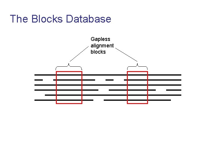 The Blocks Database Gapless alignment blocks 