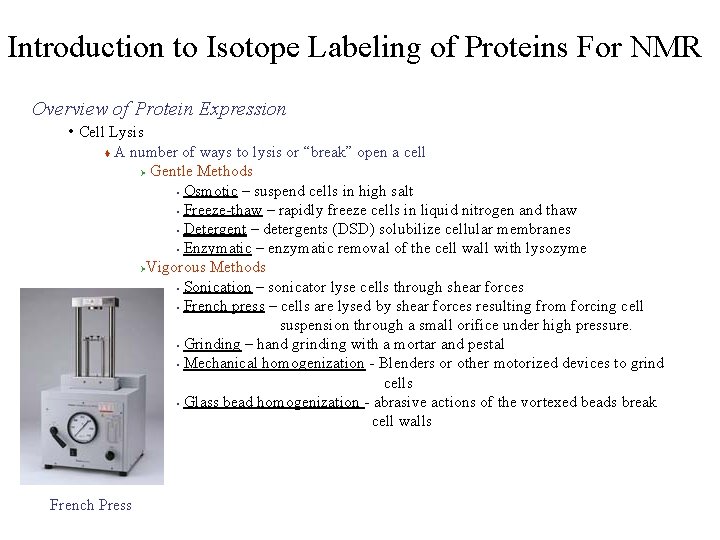 Introduction to Isotope Labeling of Proteins For NMR Overview of Protein Expression • Cell