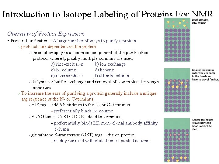 Introduction to Isotope Labeling of Proteins For NMR Overview of Protein Expression • Protein