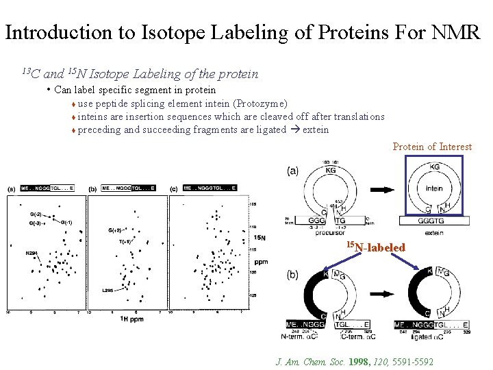 Introduction to Isotope Labeling of Proteins For NMR 13 C and 15 N Isotope